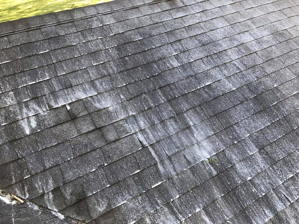Roof Cleaning Gainesville